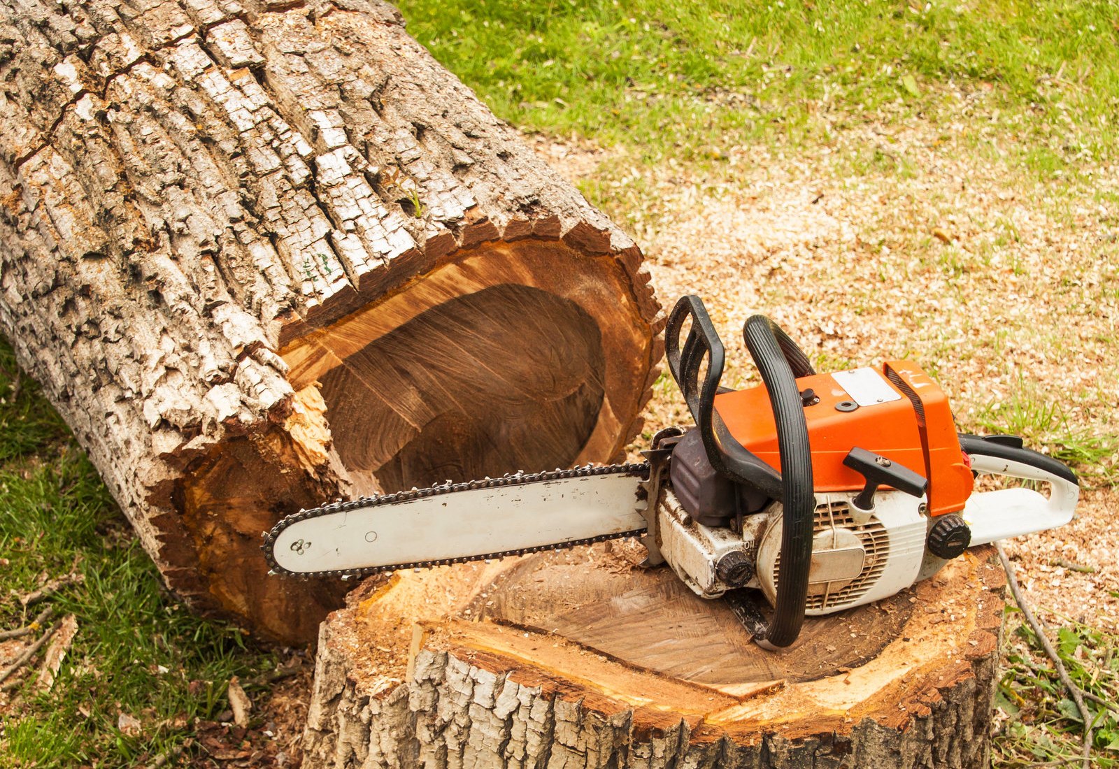 A chainsaw resting on the fresh-cut face of a stump on an Above and Beyond job