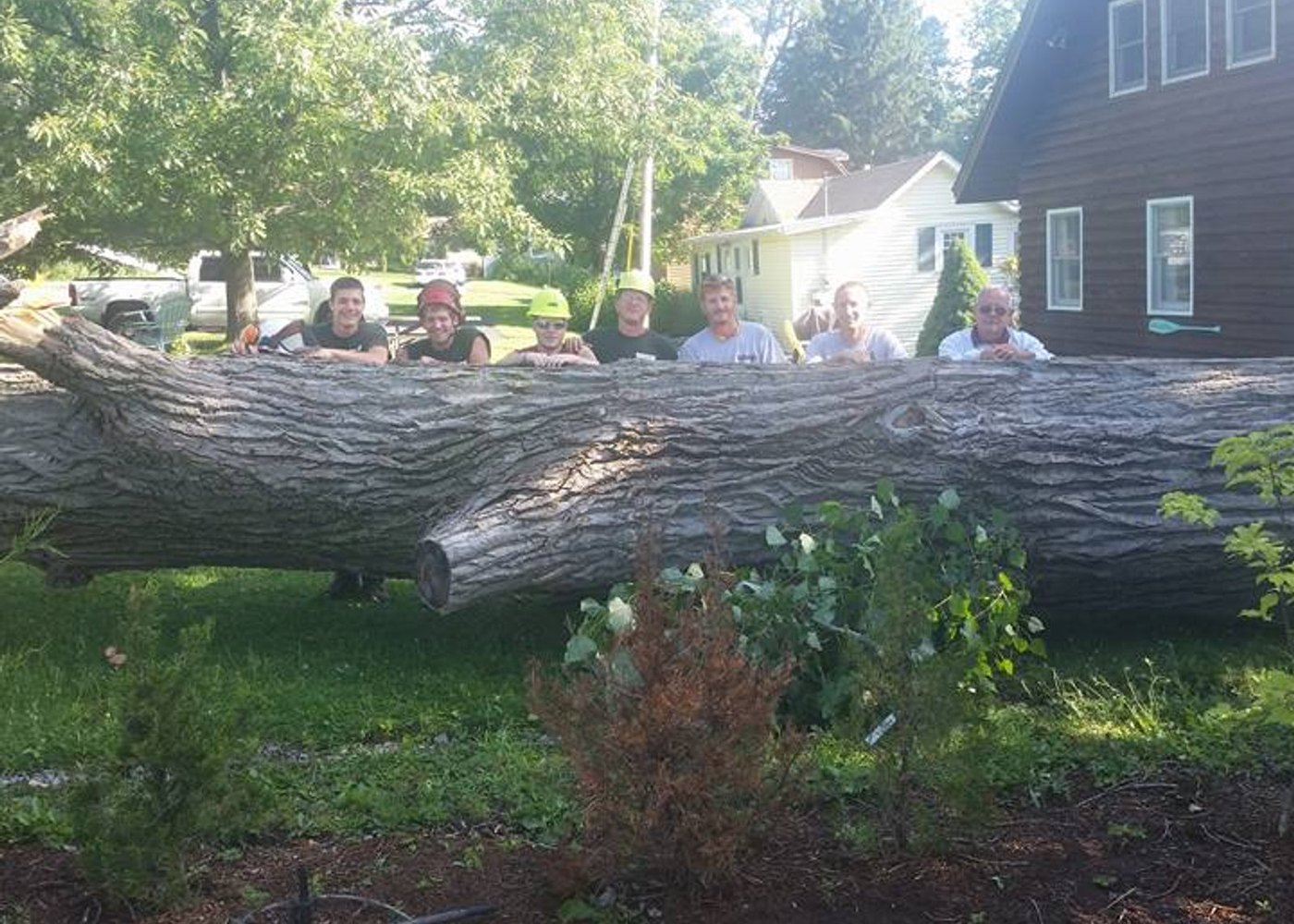 The Above and Beyond crew standing behind the sectioned trunk of a large hardwood they took down