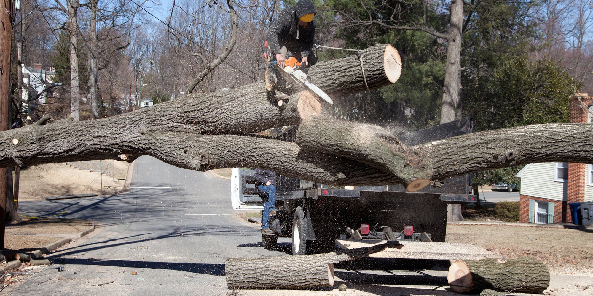 A storm-dropped hardwood trunk lying across a residential road, being cut into sections and cleared